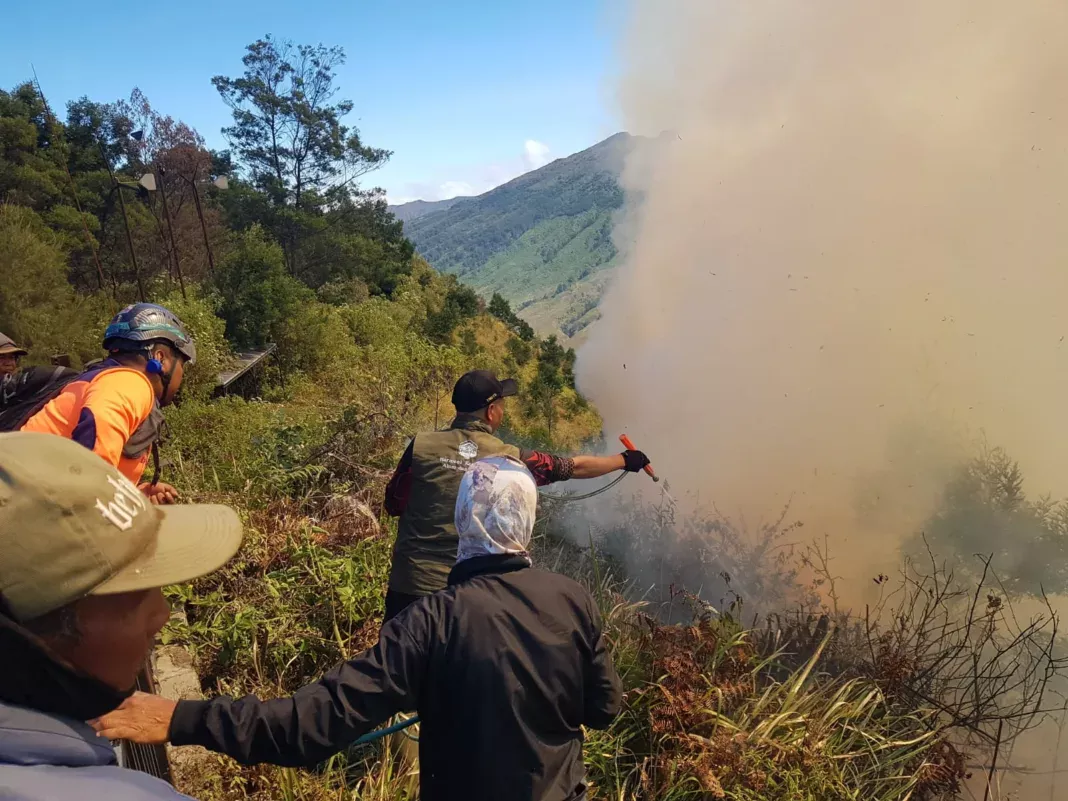 Bromo Lagi Nggak Baik-Baik Saja! Kebakaran TNBTS Bikin Jalur Malang Ditutup, Trip Sunrise Jadi Makin Lama