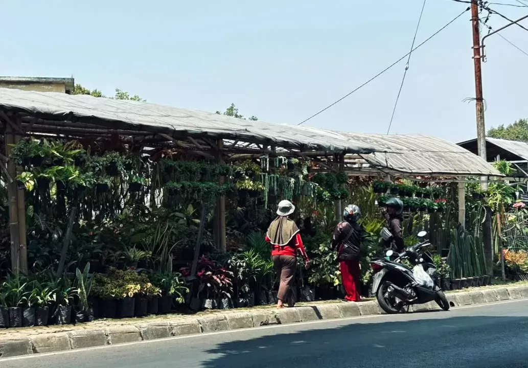 Glow Up! Jalan Bukit Berbunga Kota Batu Bakal Disulap Jadi Wisata Bunga yang Lebih Estetik