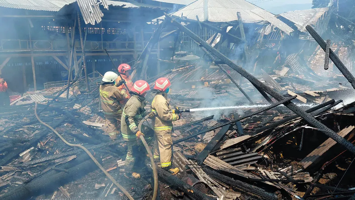 Diduga Heater Overheat, Kebakaran Hanguskan Peternakan Ayam di Kota Batu