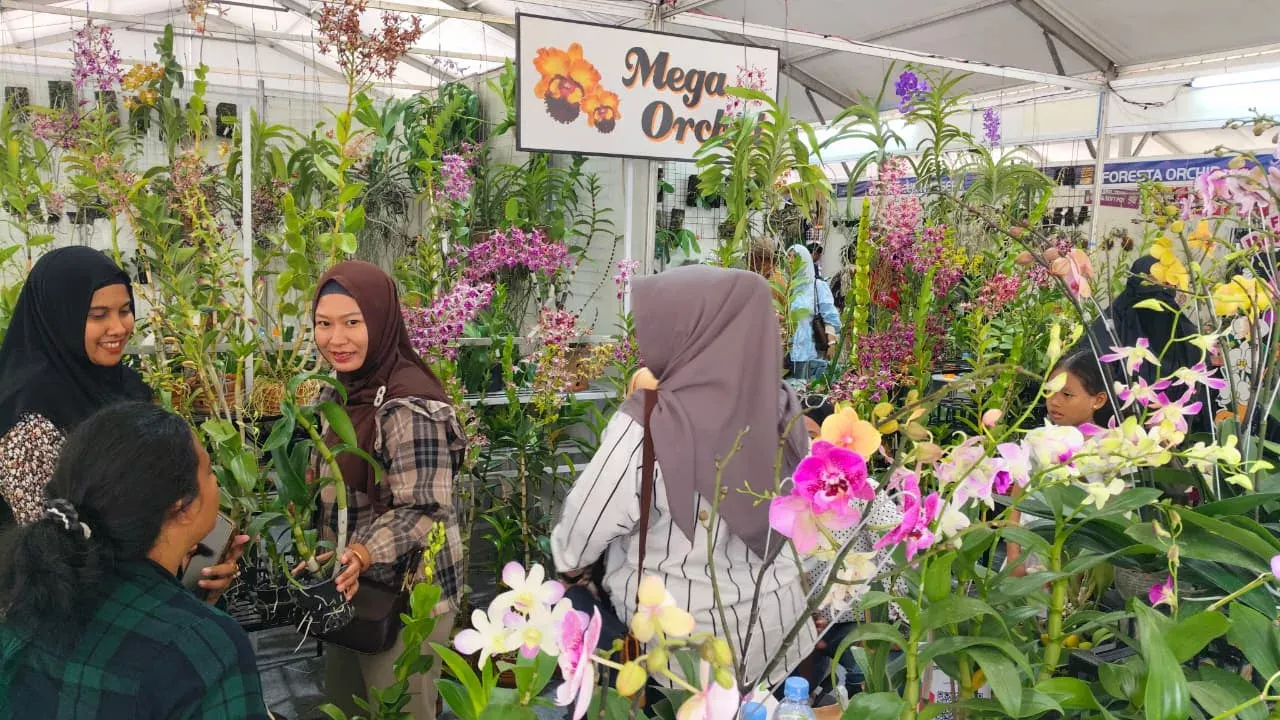 Plant Parent Auto Melipir! Batu Shining Orchids Week Pamerkan Anggrek Premium