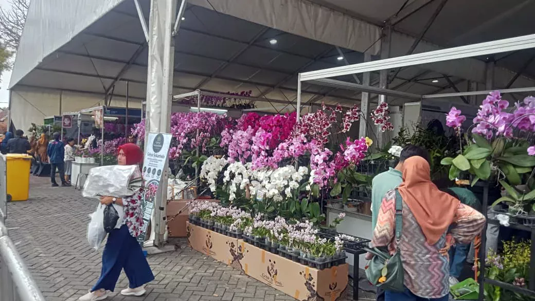 Batu Shining Orchids Week 2026 Ramai Banget, Anggrek Indonesia Siap Go International