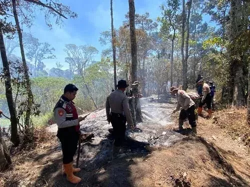 Karhutla Pegunungan Kawi Mulai Padam, 1.586 Hektare Hutan Terdampak